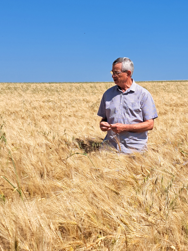 H.G AGROCONSULT cabinet d’expertise-conseil indépendant spécialisé en culture bio